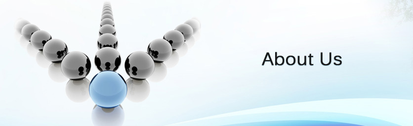 About GDL Academy About GDL Academy